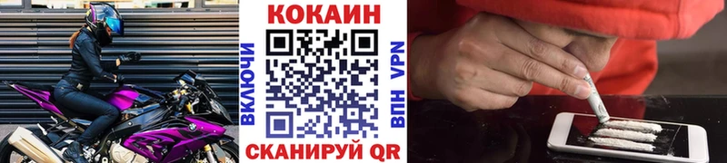 дарнет шоп  Камешково  COCAIN FishScale 