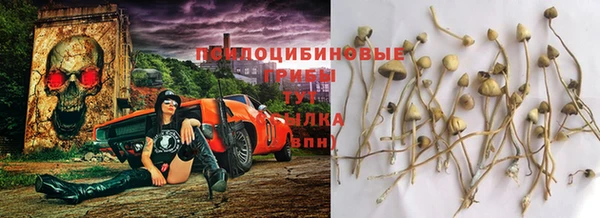 MESCALINE Арсеньев