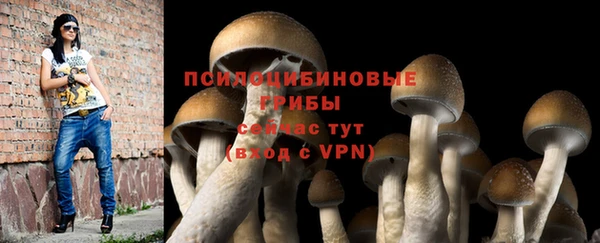 бутират Армянск
