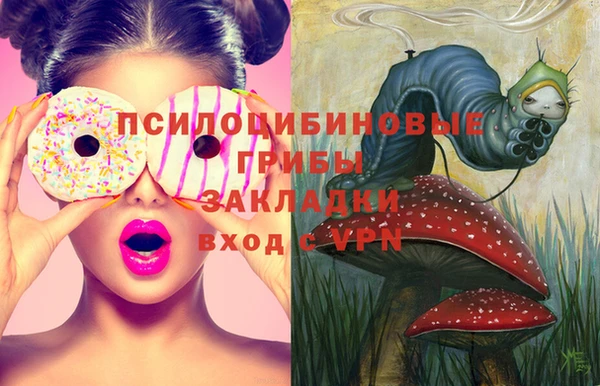 винт Грязовец