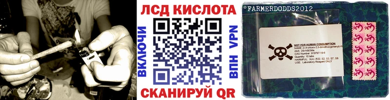hydra ссылки  купить наркотики цена  Камешково  Марки NBOMe 1500мкг 