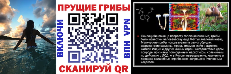 Галлюциногенные грибы Magic Shrooms  Камешково 